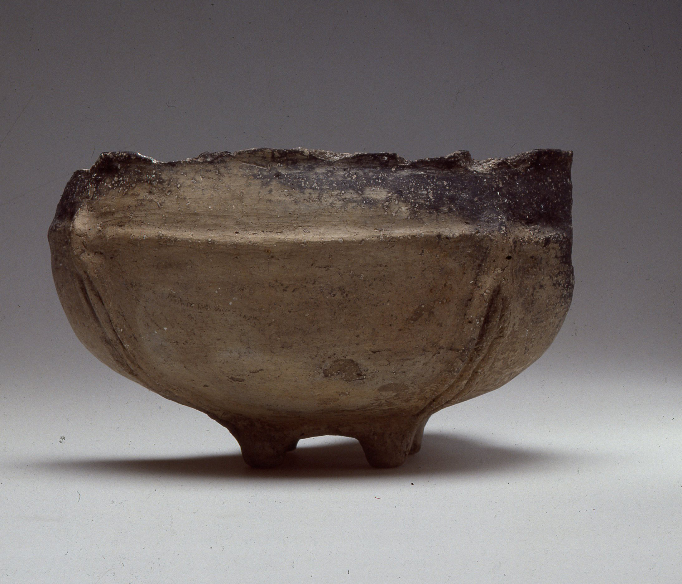 Ingresso gratuito 25 aprile 2026